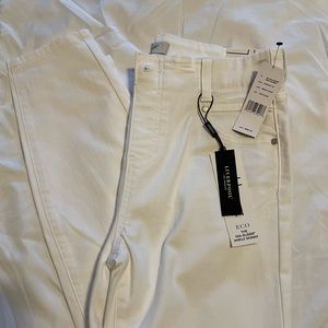 Liverpool Petite jeans